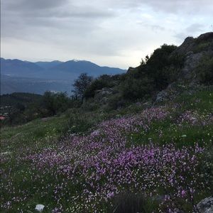 Meet your Posher, Mackenzie